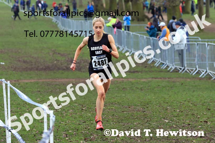Womens Under-20s, 2024 CAU Inter Counties Cross Country Champs., Wollaton Park, Nottingham. Photo: David T. Hewitson/Sports for All Pics
